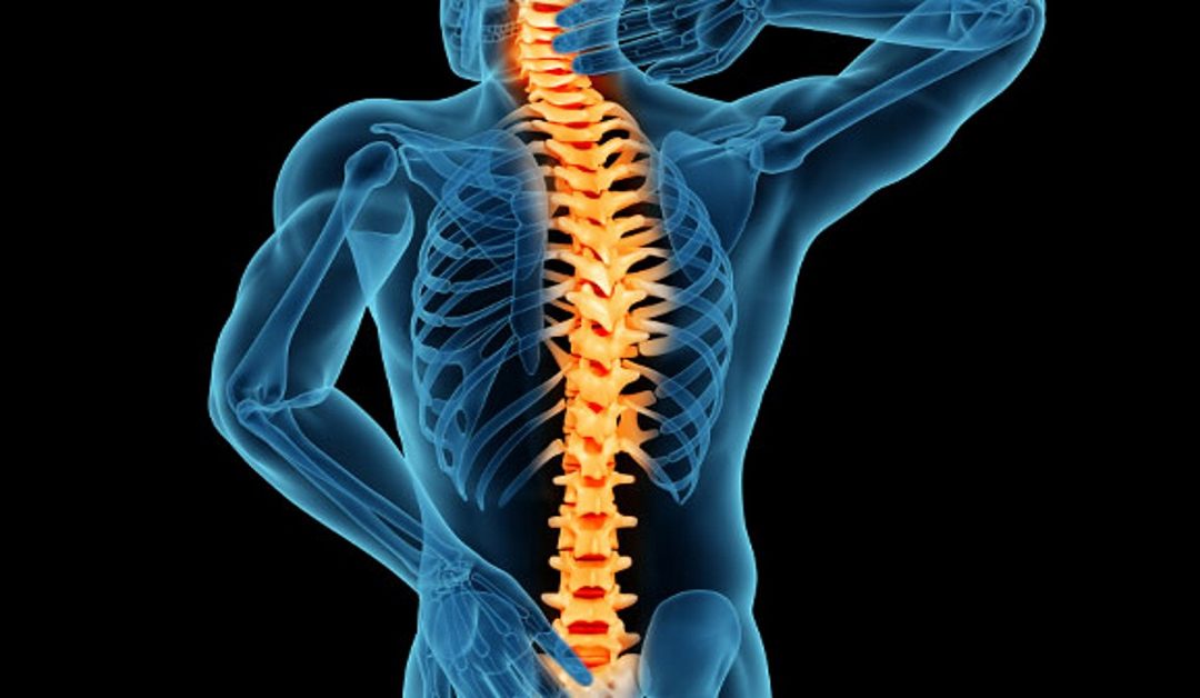 WHAT ARE THE CAUSES OF BACK PAIN?