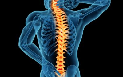WHAT ARE THE CAUSES OF BACK PAIN?
